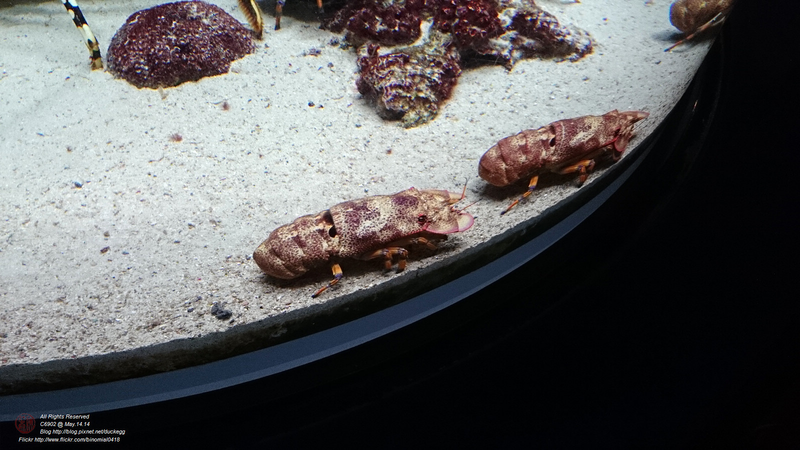 DSC_2881.jpg